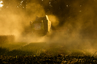 Zbi�r rzepaku 2025 OHZ w Osieku Sp. z o. o.